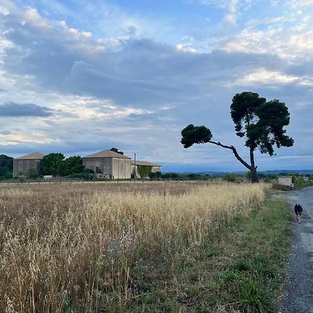 Charming Village House With Roof Top Terrace! Thezan-les-Beziers Eksteriør bilde